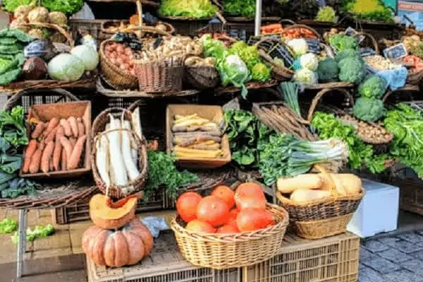 , une des idées de sorties en famille de Family Ecolodge Puisaye pour les vacances de février