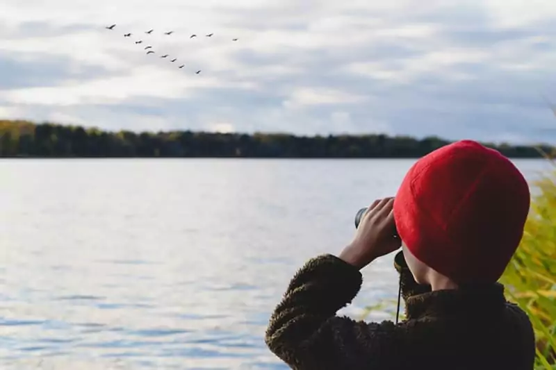 une femme observe des grues avec des jumelles, en Bourgogne, au-dessus du lac du Bourdon, près de Family ecolodge Puisaye
