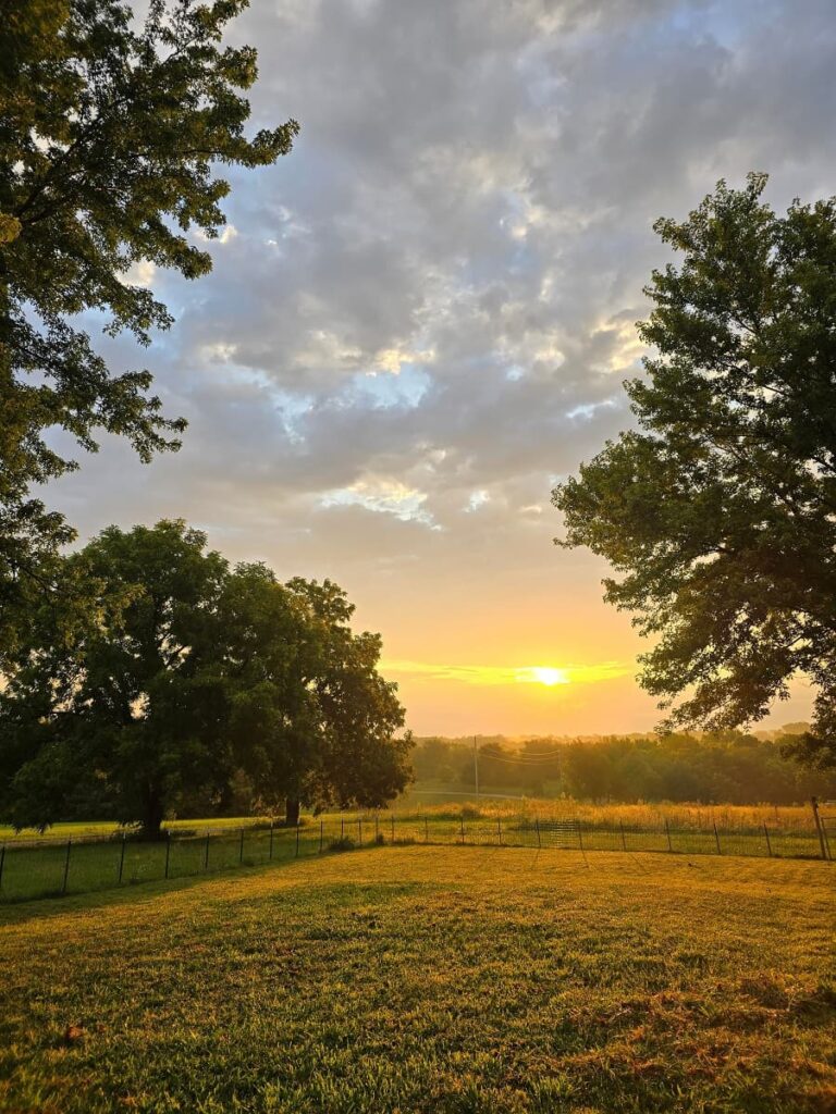 un paysage de Puisaye, au coucher de soleil, sortie nature avec un guide